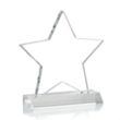 Nelson Star Award | https://www.bestnamebadges.com