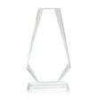 Devon VividPrint™ Award | https://www.bestnamebadges.com