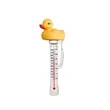 Floating Pool Thermometer | https://www.bestnamebadges.com