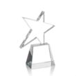 Falcon Star Award | https://www.bestnamebadges.com