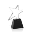 Falcon Star Award | https://www.bestnamebadges.com
