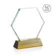 Pickering Award on Newhaven - Amber | https://www.bestnamebadges.com