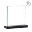 Terra Award - Black | https://www.bestnamebadges.com