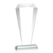 Foster VividPrint™ Award | https://www.bestnamebadges.com