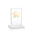Dallas Star Award - White/Gold | https://www.bestnamebadges.com