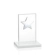 Dallas Star Award - White/Silver | https://www.bestnamebadges.com