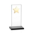 Dallas Star Award - Black/Gold | https://www.bestnamebadges.com