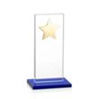 Dallas Star Award - Blue/Gold | https://www.bestnamebadges.com
