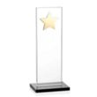 Dallas Star Award - Black/Gold | https://www.bestnamebadges.com