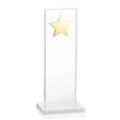 Dallas Star Award - White/Gold | https://www.bestnamebadges.com