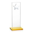 Dallas Star Award - Amber/Silver | https://www.bestnamebadges.com