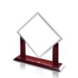 Carradine VividPrint™ Award | https://www.bestnamebadges.com
