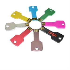 Custom Metal Key Shaped USB Flash Drive