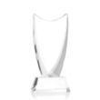 Dawkins Award - Clear | https://www.bestnamebadges.com