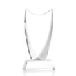 Dawkins Award - Clear | https://www.bestnamebadges.com