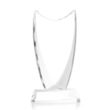 Dawkins Award - Clear | https://www.bestnamebadges.com