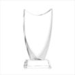 Dawkins Award - Clear | https://www.bestnamebadges.com