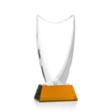 Dawkins Award - Amber | https://www.bestnamebadges.com