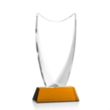 Dawkins Award - Amber | https://www.bestnamebadges.com
