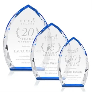 Wilton Award - Blue | https://www.bestnamebadges.com