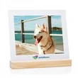 Bassan VividPrint™ Frame | https://www.bestnamebadges.com