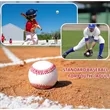 custom Blank Standard Practice Baseball Size 9 Inch | https://www.bestnamebadges.com