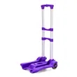 Folding Luggage Cart | https://www.bestnamebadges.com