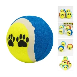 Pet Fetch Toy Tennis Ball