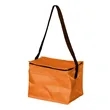 Polyester 6 Can Cooler 210D | https://www.bestnamebadges.com