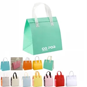 Reusable Non-Woven  Insulated Take Away Bags