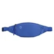 Large Crossbody Fanny Pack with 3-Zipper Pockets | https://www.bestnamebadges.com