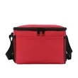 Premium Insulated 6-Can Lunch Cooler Bag | https://www.bestnamebadges.com