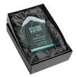 Everest Award - Starfire | https://www.bestnamebadges.com