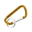 Carabiner | https://www.bestnamebadges.com