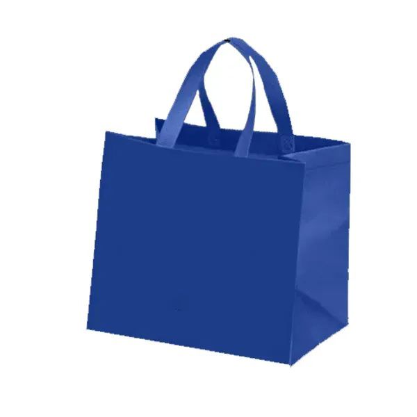 Grocery Tote Bag-T-6