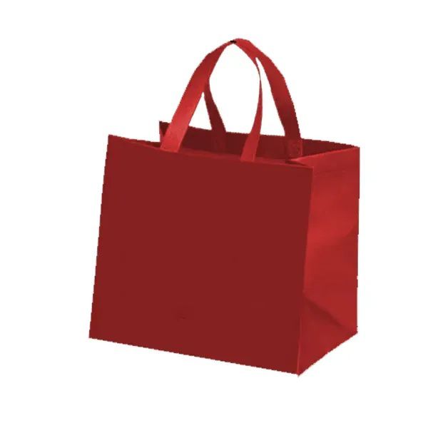 Budget Large Grocery Tote Bag-T