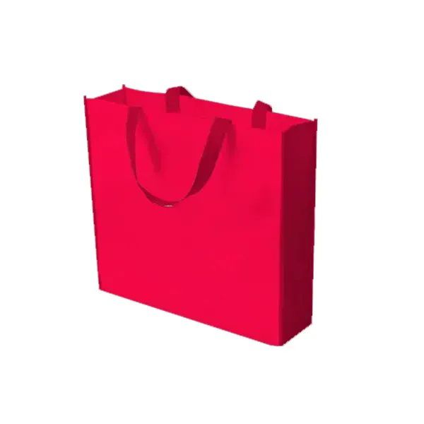 Economical Small Grocery Bag