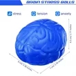 Brain Stress Ball | https://www.bestnamebadges.com