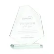 Picton Award - Jade | https://www.bestnamebadges.com