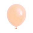 10" Macaron Latex Balloon | https://www.bestnamebadges.com