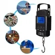 Fish Scale 50kg with Built-in Measuring Tape | https://www.bestnamebadges.com