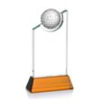 Brixton Golf VividPrint™ Award | https://www.bestnamebadges.com
