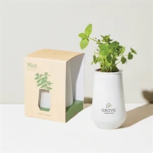 Modern Sprout® Tapered Tumbler Grow Kit