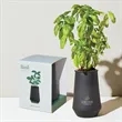 Modern Sprout® Tapered Tumbler Grow Kit | https://www.bestnamebadges.com