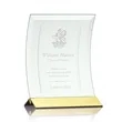Dominga Award - Jade/Gold | https://www.bestnamebadges.com