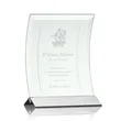 Dominga Award - Jade/Silver | https://www.bestnamebadges.com