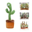 Cactus Toy | https://www.bestnamebadges.com