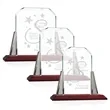Renata Award - Pewter | https://www.bestnamebadges.com