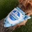 Sublimated RPET Bandana | https://www.bestnamebadges.com