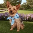 Sublimated RPET Bandana | https://www.bestnamebadges.com